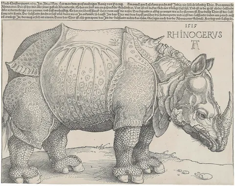 Rhinoceros by Albrecht Dürer
